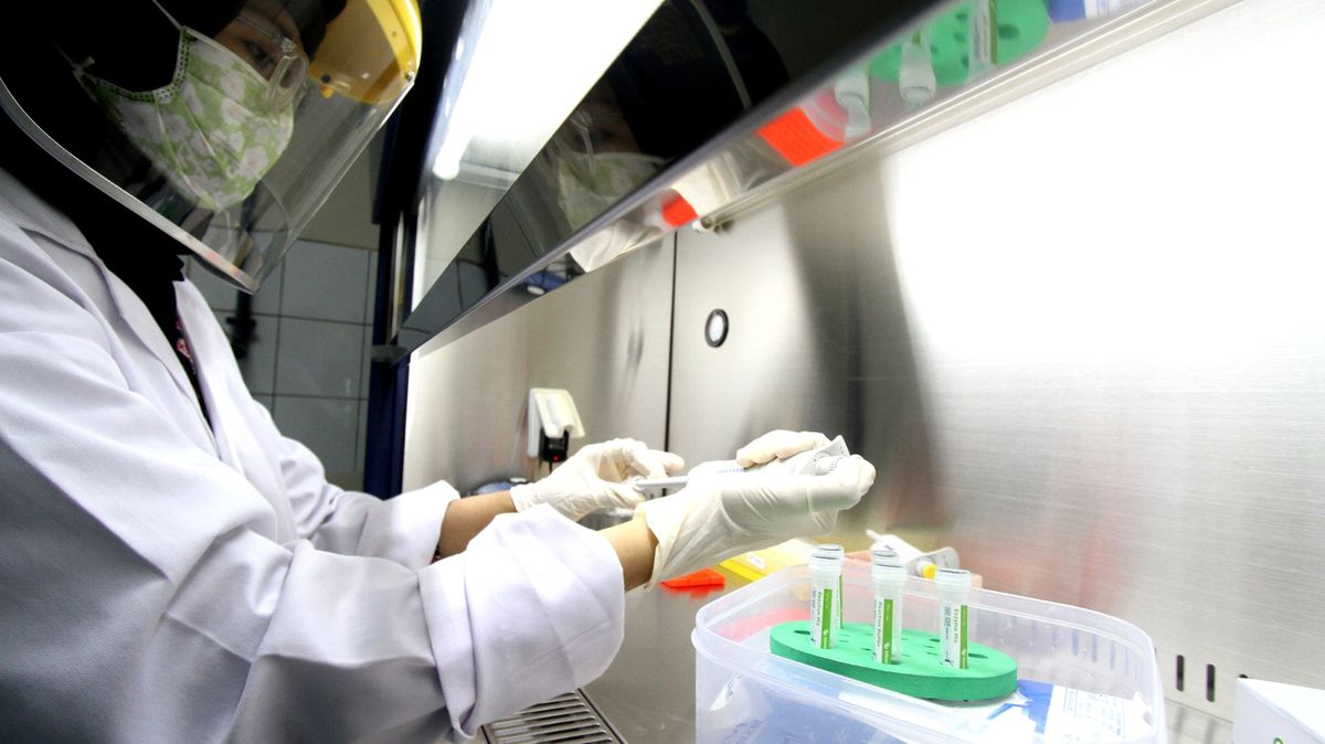 Virus vznikl v laboratoři, tvrdí čínská exilová viroložka. Důkazy neukázala